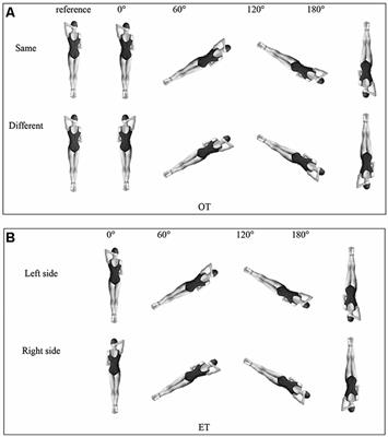 The Time Course of Event-Related Brain Potentials in Athletes’ Mental Rotation With Different Spatial Transformations